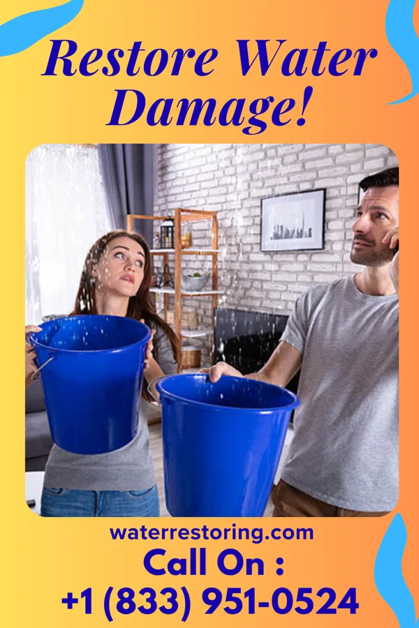 water restoration Zenith Water Mitigation Co Willisville