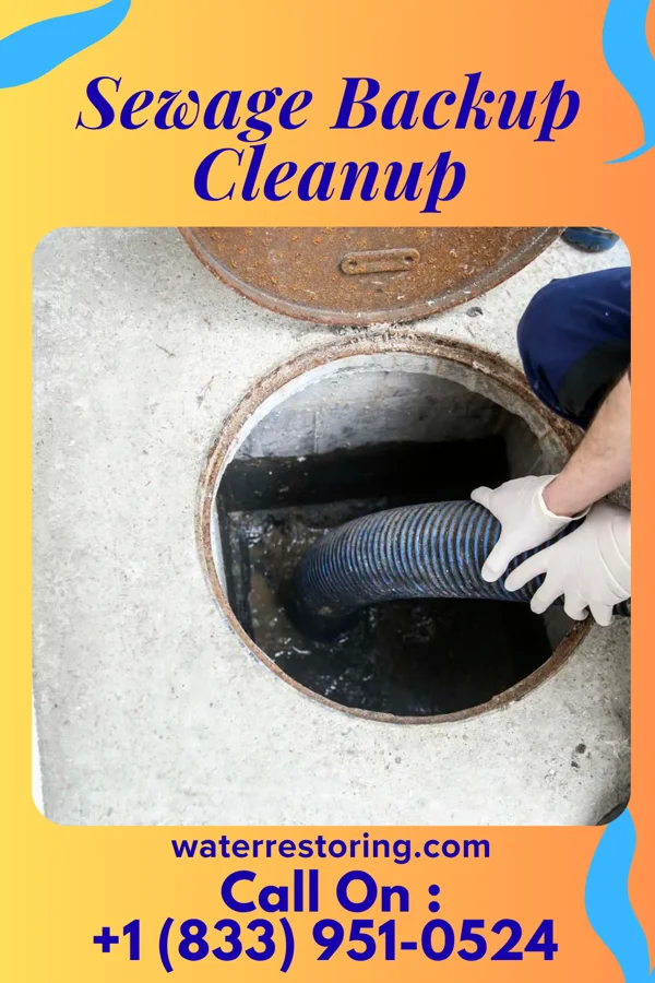 Sewage Backup Cleanup in Willisville, IL